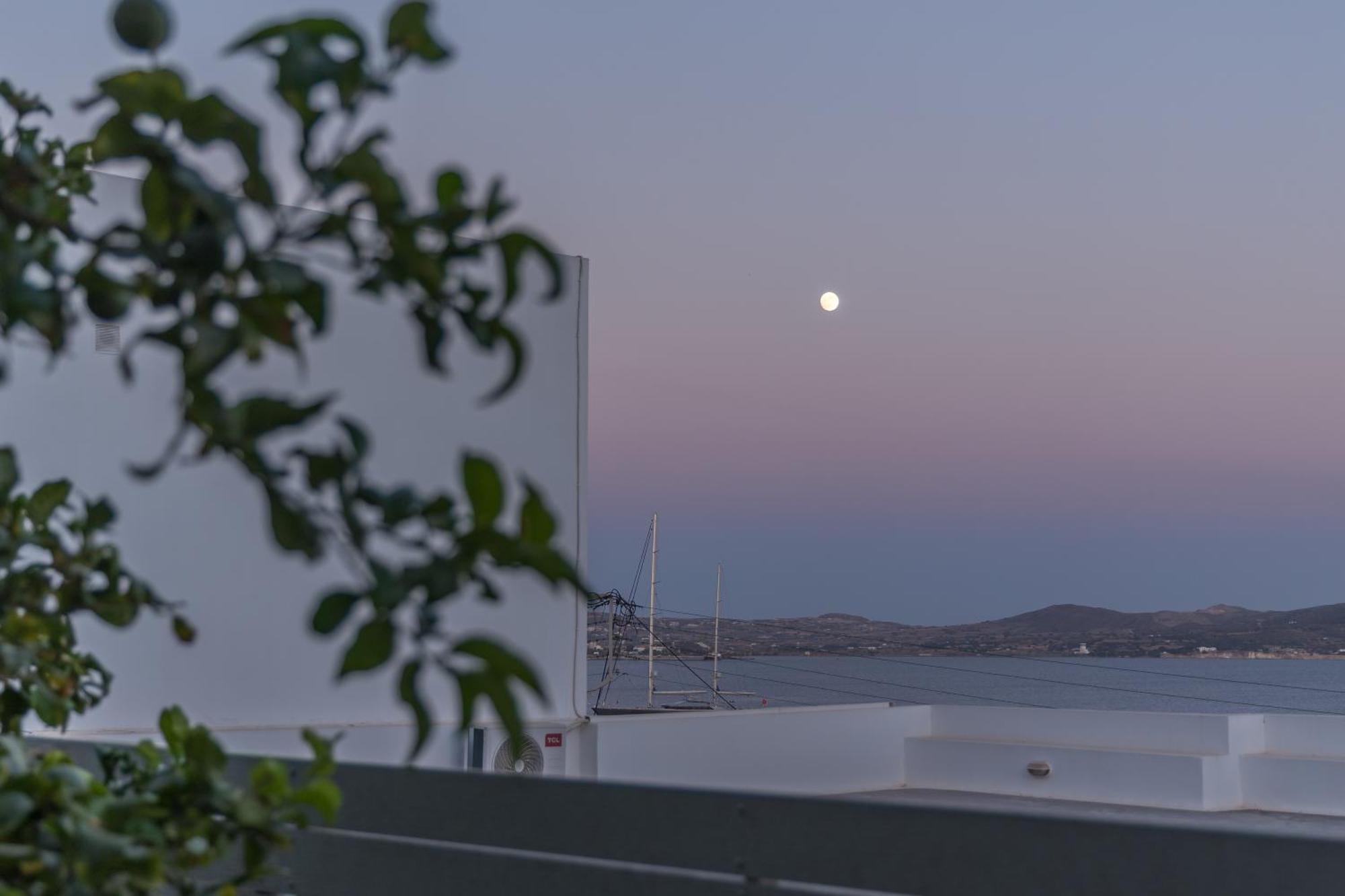 Apartment Vitalis Residences - Haven *